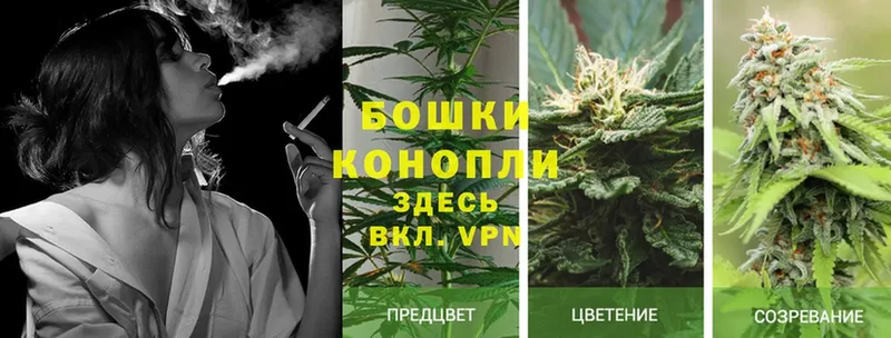 Шишки марихуана White Widow  купить   Новоалександровск 